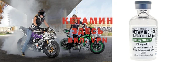 крисы Вязьма