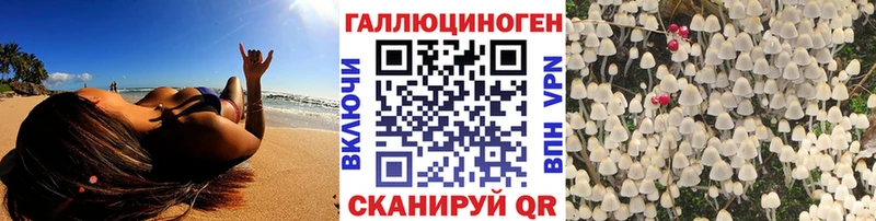 Галлюциногенные грибы Cubensis  Купить закладки  Борзя 